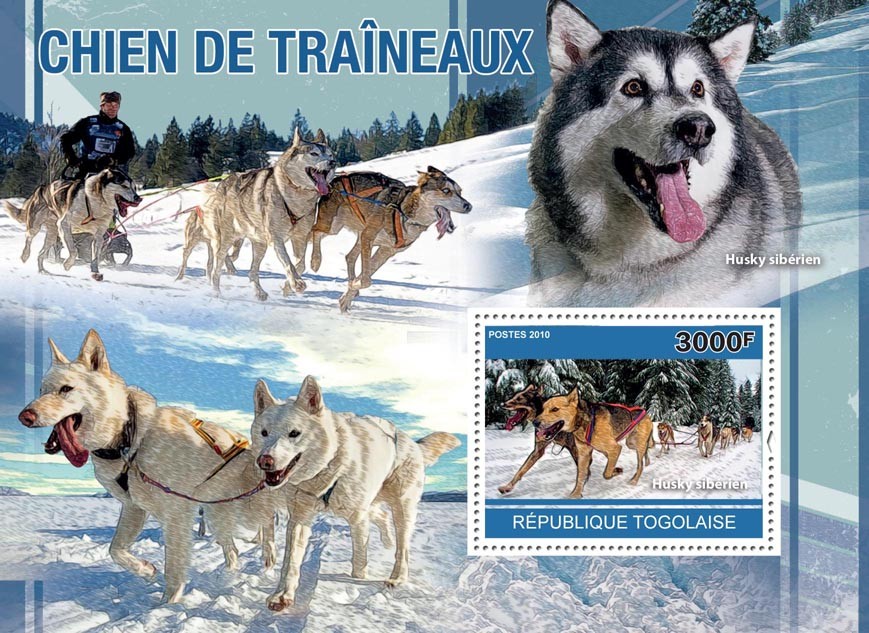 Sled Dogs, (Siberian Husky). - Issue of Togo postage stamps