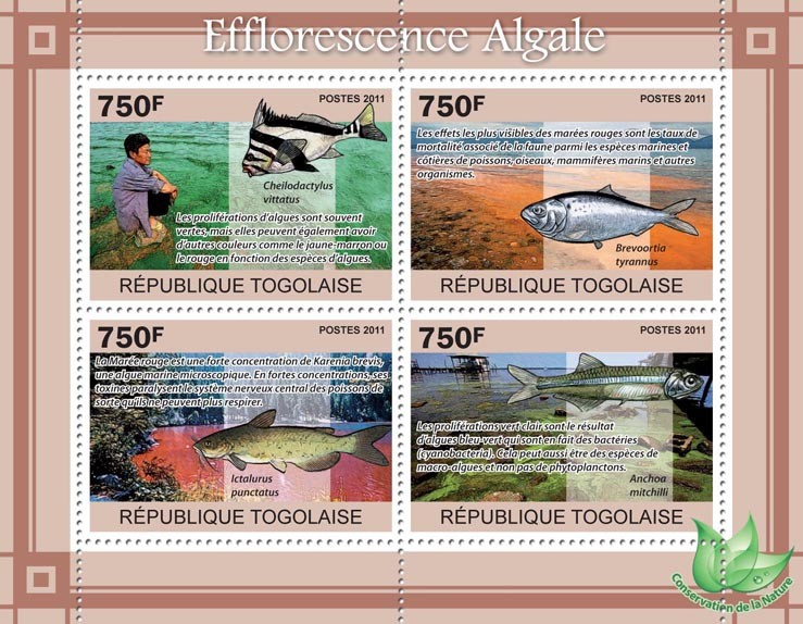 Algal Blooms, Fishes. - Issue of Togo postage stamps
