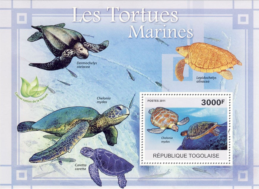 Sea Turtles. - Issue of Togo postage stamps