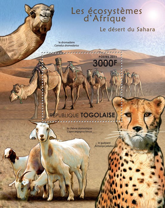 Fauna of the Sahara Desert. - Issue of Togo postage stamps