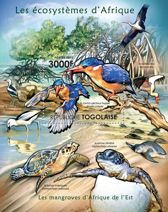Fauna of Mangroves Forests of East Africa. - Issue of Togo postage stamps