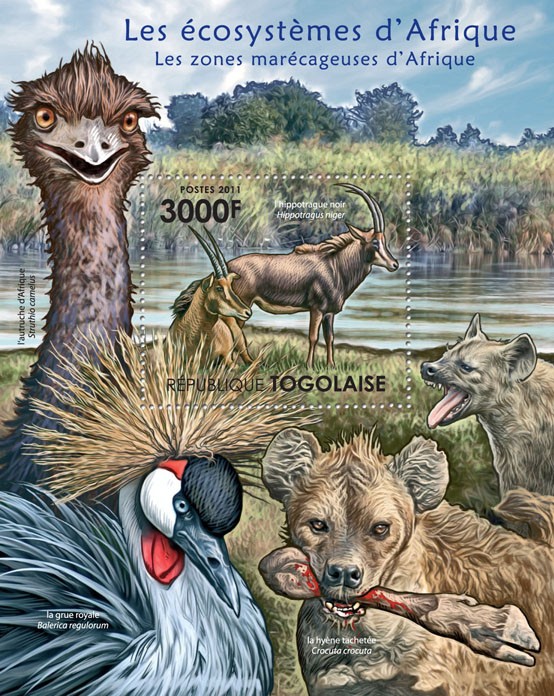 Fauna of Swampy Areas of Africa. - Issue of Togo postage stamps