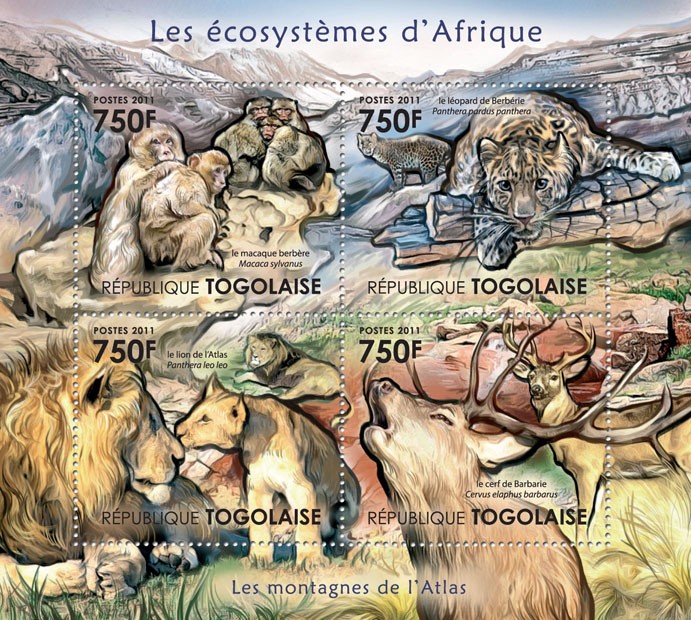 2011 Afrikanische Ökosysteme Säugetiere Briefmarken für Sammler Prophila Collection Togo 4141-4144 kompl.Ausg.
