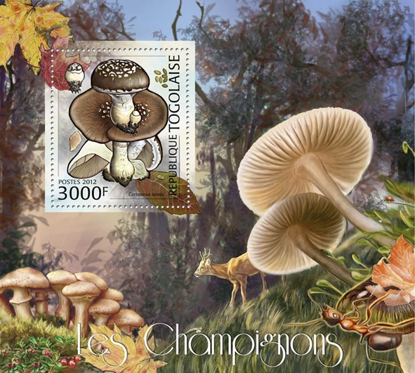 Mushrooms, (Cartinarius torvus). - Issue of Togo postage stamps