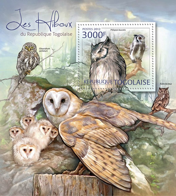 Owls, (Ptilopsis leucotis). - Issue of Togo postage stamps