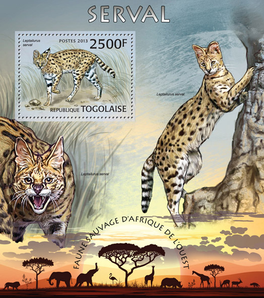 Serval - Issue of Togo postage stamps