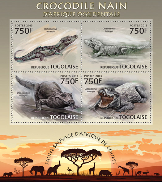 Crocodile - Issue of Togo postage stamps