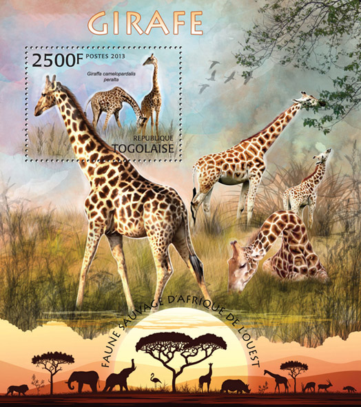 Giraffe - Issue of Togo postage stamps