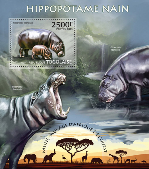 Hippopotamus - Issue of Togo postage stamps