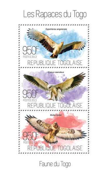 Raptors - Issue of Togo postage stamps
