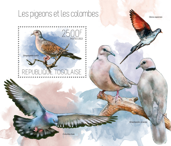 Pigeons and doves - Issue of Togo postage stamps