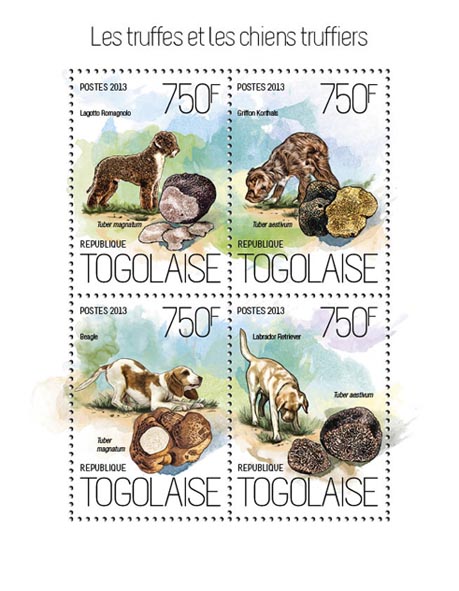 Mushrooms and Dogs - Issue of Togo postage stamps