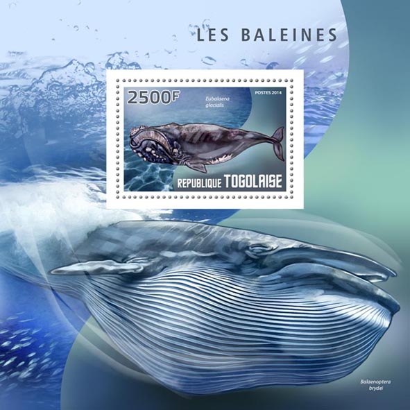 Whales - Issue of Togo postage stamps