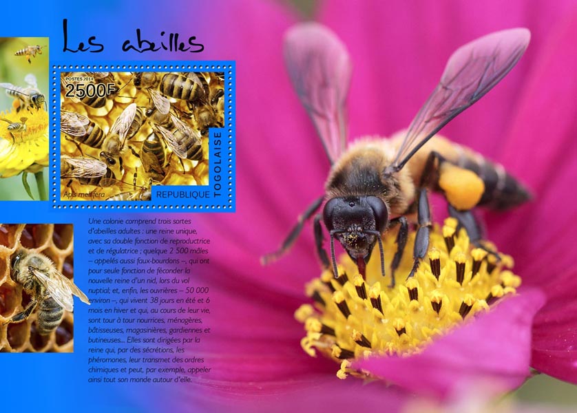 Bees - Issue of Togo postage stamps