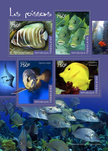 Fishes - Issue of Togo postage stamps