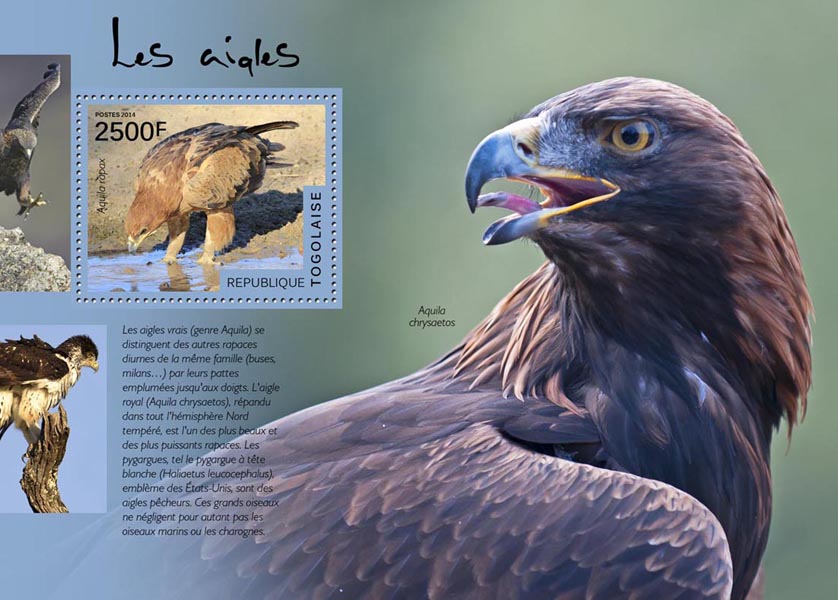 Eagles - Issue of Togo postage stamps