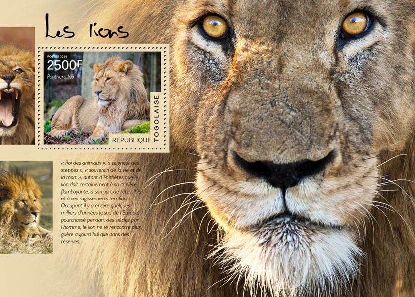 Lions - Issue of Togo postage stamps