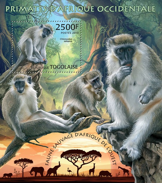 Primats  - Issue of Togo postage stamps