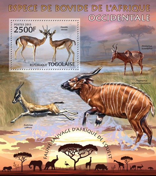 Bovid species - Issue of Togo postage stamps