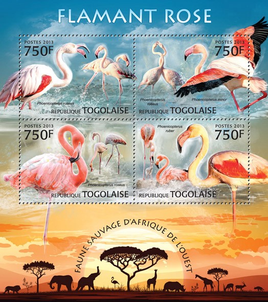 Flamingos  - Issue of Togo postage stamps
