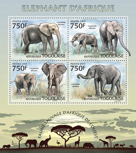 Elephants  - Issue of Togo postage stamps