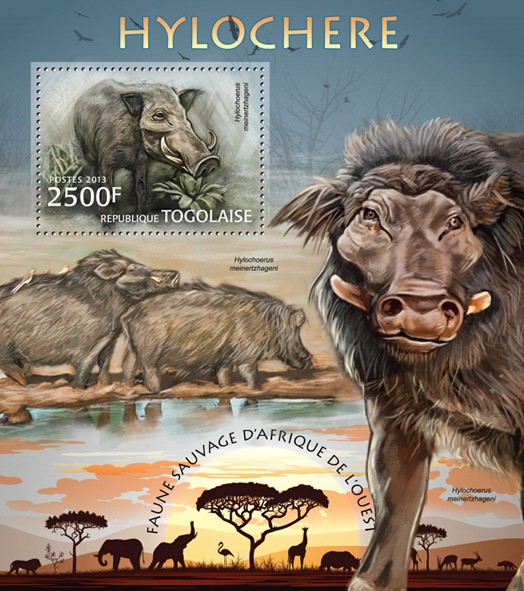 Forest hog - Issue of Togo postage stamps