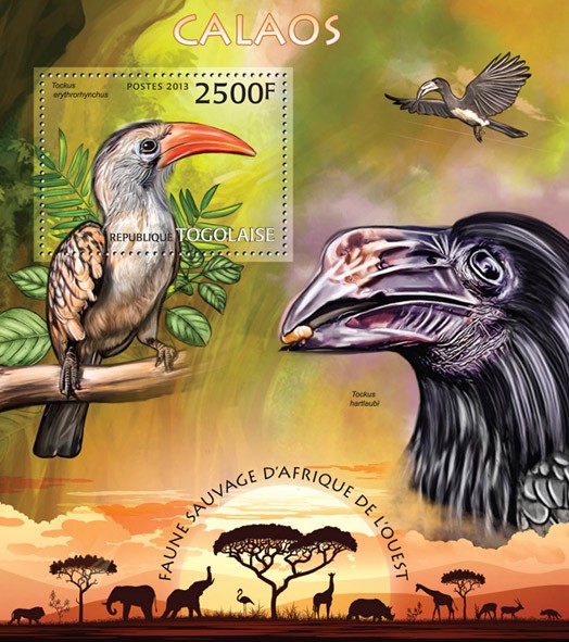 Hornbills - Issue of Togo postage stamps