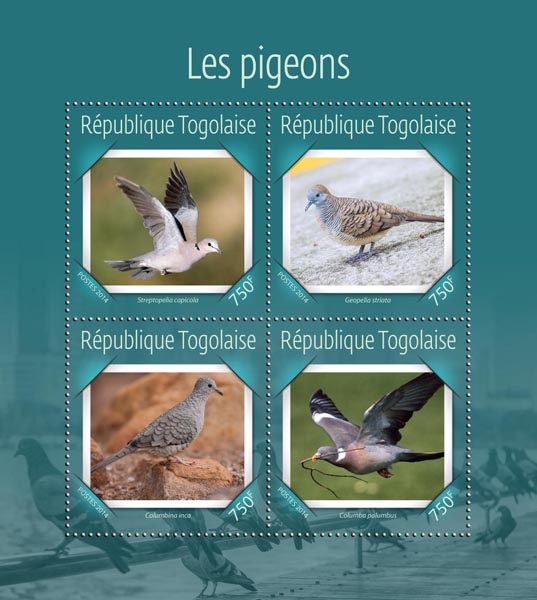 Pigeons - Issue of Togo postage stamps