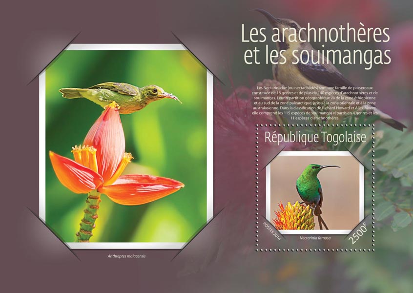 Sunbirds and spiderhunters - Issue of Togo postage stamps
