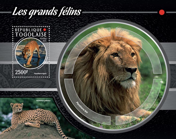 Big Cats - Issue of Togo postage stamps