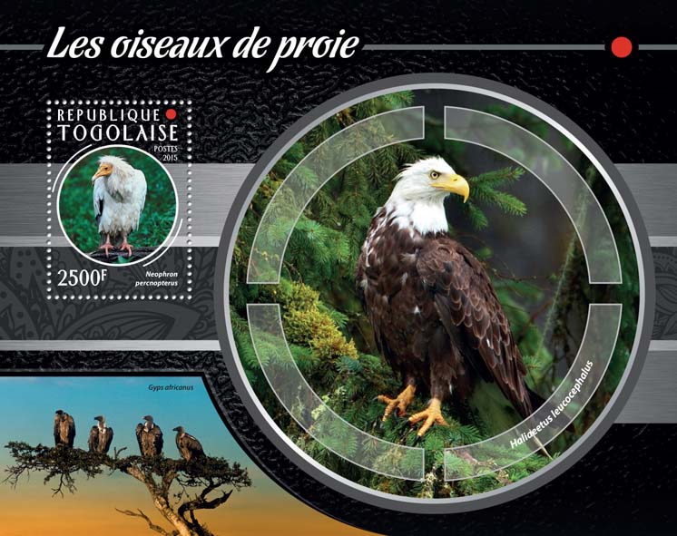 Birds of Prey - Issue of Togo postage stamps