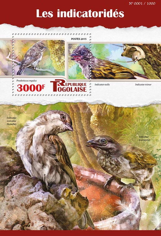 Honeyguide - Issue of Togo postage stamps