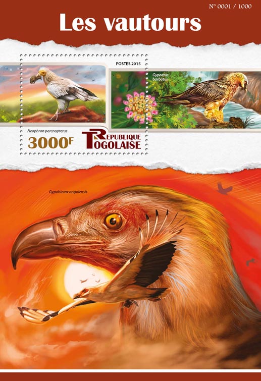 Vultures - Issue of Togo postage stamps