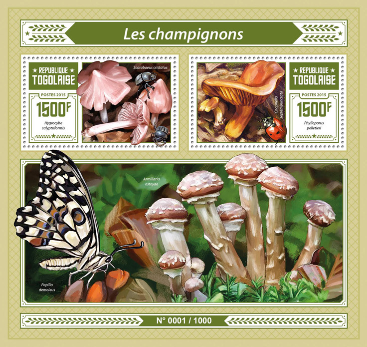 Mushrooms - Issue of Togo postage stamps