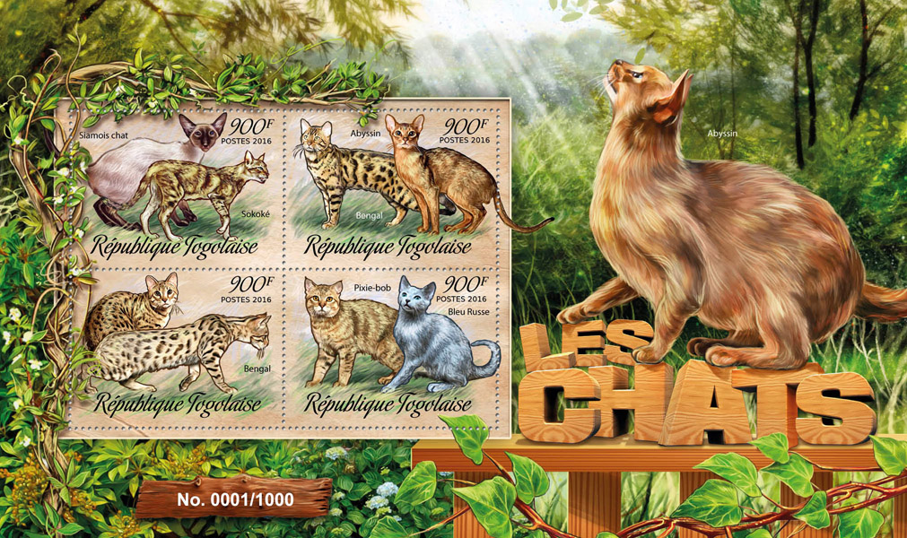 Cats - Issue of Togo postage stamps