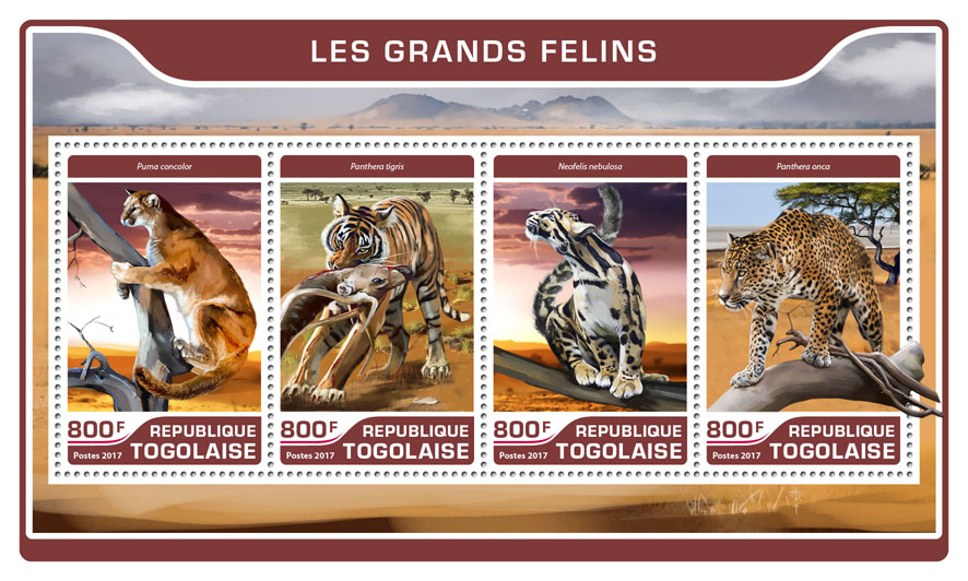 Big cats - Issue of Togo postage stamps