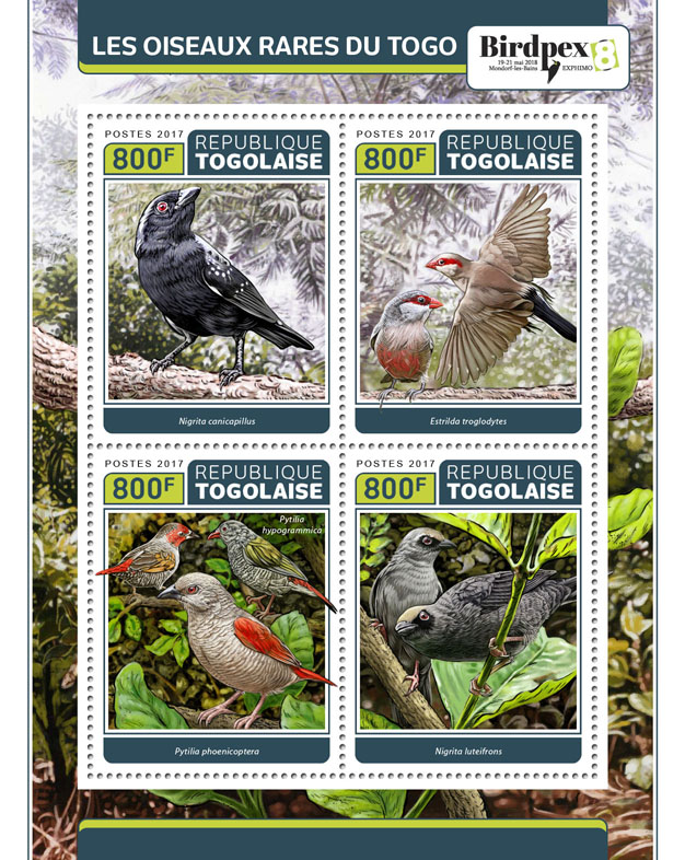 Rare birds of Togo - Issue of Togo postage stamps