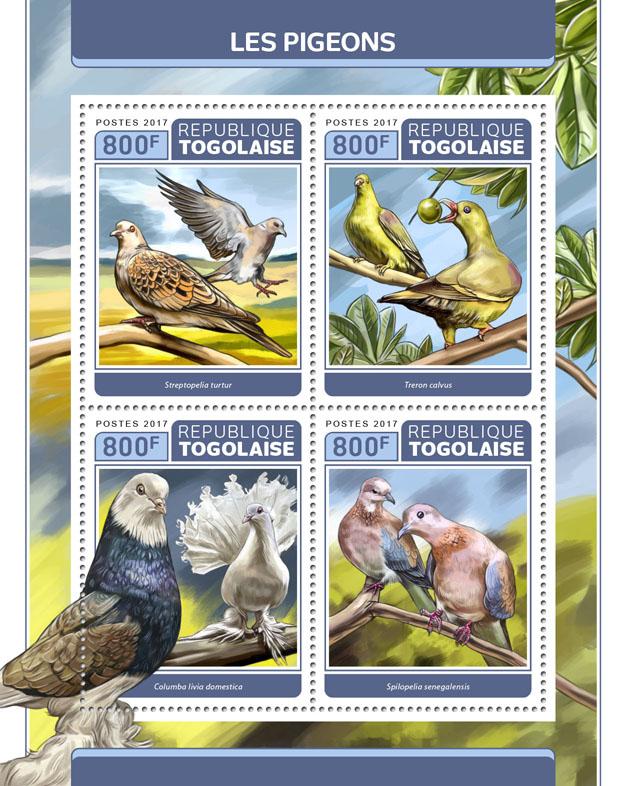 Pigeons - Issue of Togo postage stamps