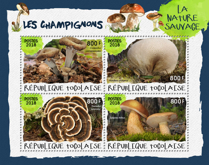 Mushrooms (II) - Issue of Togo postage stamps