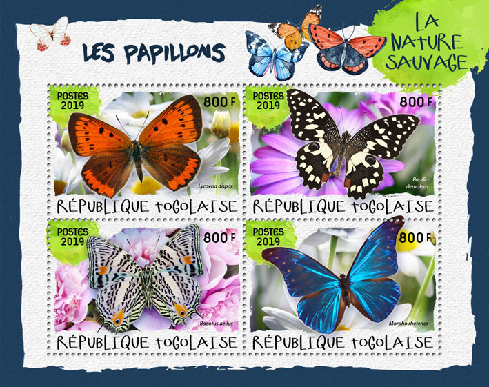 Butterflies - Issue of Togo postage stamps