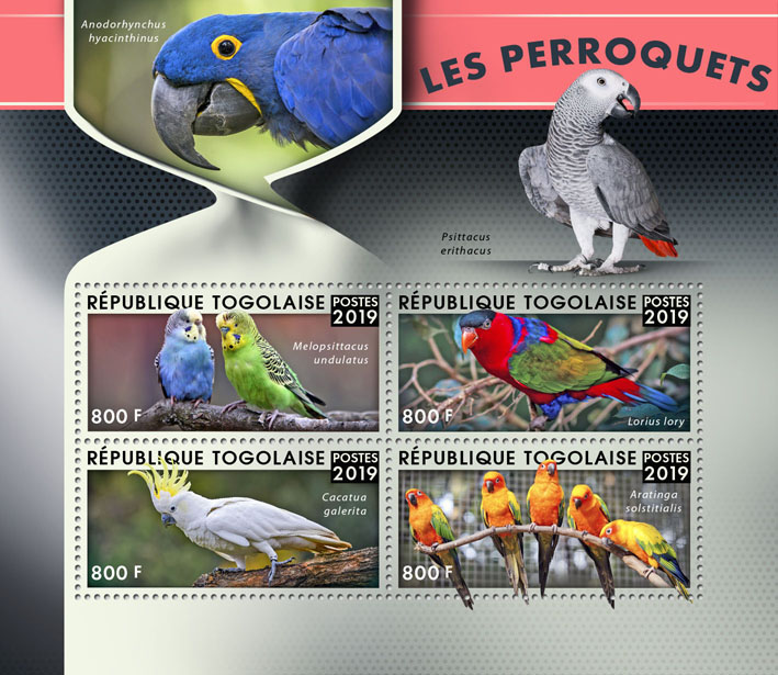 Parrots - Issue of Togo postage stamps