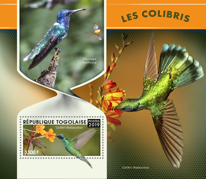Hummingbirds - Issue of Togo postage stamps