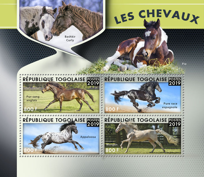 Horses - Issue of Togo postage stamps