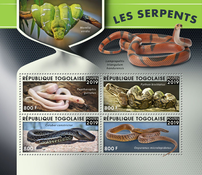 Snakes - Issue of Togo postage stamps