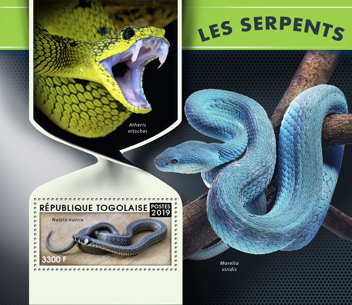 Snakes - Issue of Togo postage stamps
