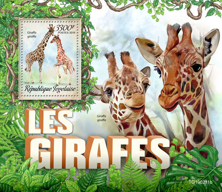 Giraffes - Issue of Togo postage stamps