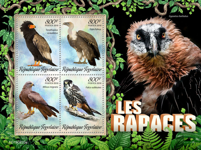 Birds of prey - Issue of Togo postage stamps