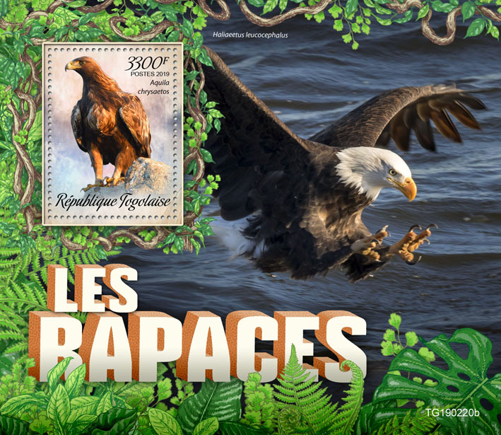 Birds of prey - Issue of Togo postage stamps