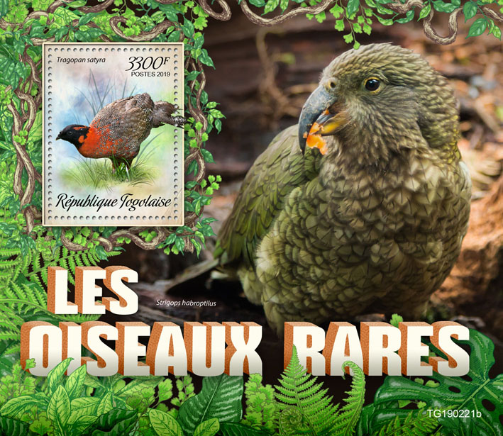 Rare birds - Issue of Togo postage stamps