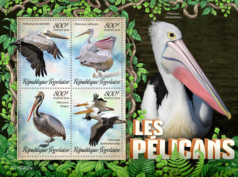 Pelicans - Issue of Togo postage stamps